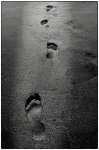 jeff-G-Footprints-2