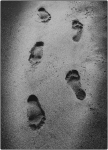 jeff-G-Footprints-3