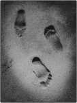 jeff-G-Footprints-4