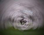 WDarress-ICM-FDR-Tornado