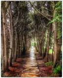 a_C32-MarleneW-A1-Haunted-Walk-Westbury-Gardens