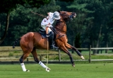 zz_Print_DCusackBethpage-Polo-July-2024